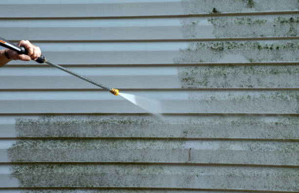 Professional Pressure Washing in Harlem Heights, FL
