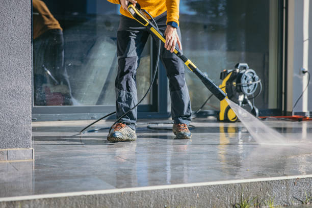 Best Gutter Cleaning  in Harlem Heights, FL