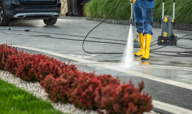 Best Driveway Pressure Washing  in Harlem Heights, FL